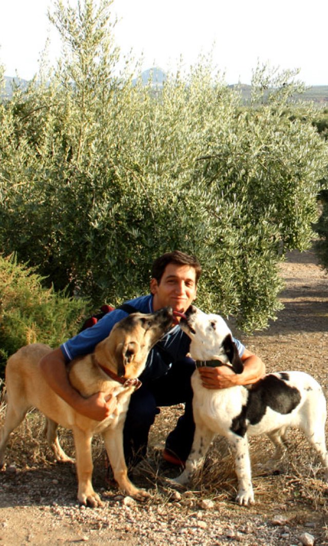 Joan, from Tierra Callada, with two dogs, in front of an Olive Tree in Tierrra Callada